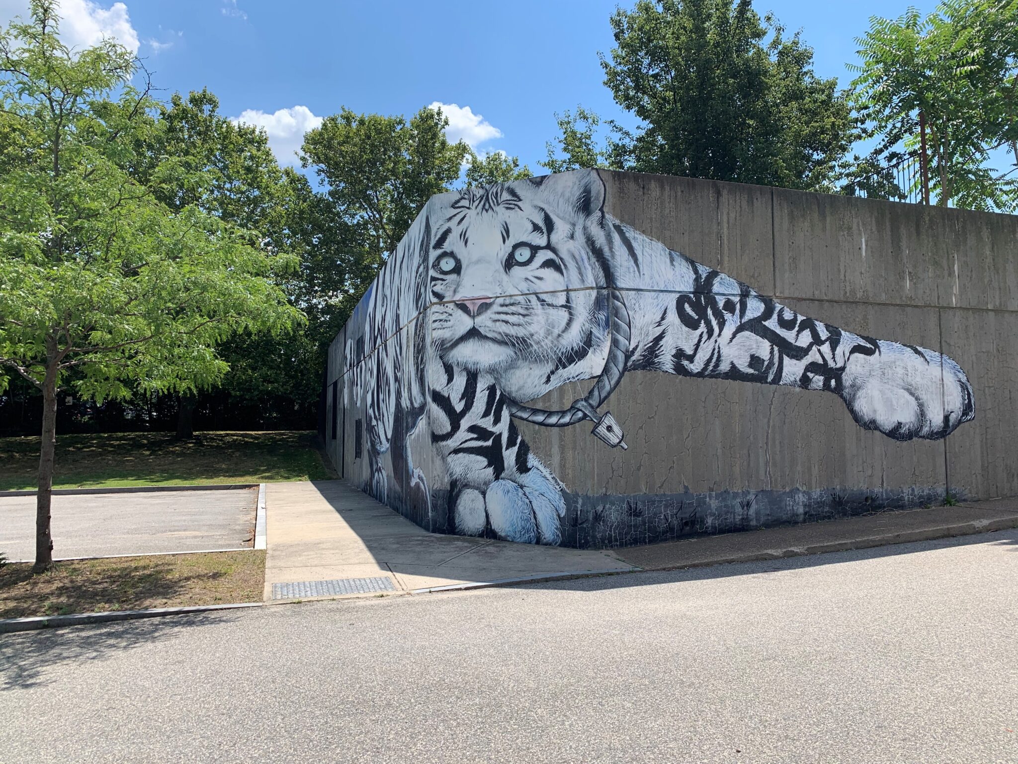 tiger-2048x1536 <em>"Tiger Style" mural by Genaro "GoFive" Ortega, Rob "Problak" Gibbs, Brandalizm, Sneha "IMAGINE" Shrestha, and Luis "Take1" Taforo at the O'Bryant School in Roxbury. Learn more at the mural's <a href="https://www.wikidata.org/wiki/Q107975712">Wikidata entry page here.</a></em>